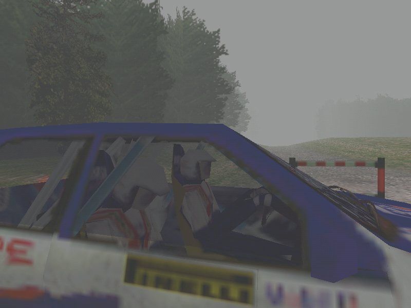 Rally Championship screenshot 5 for Playstation
